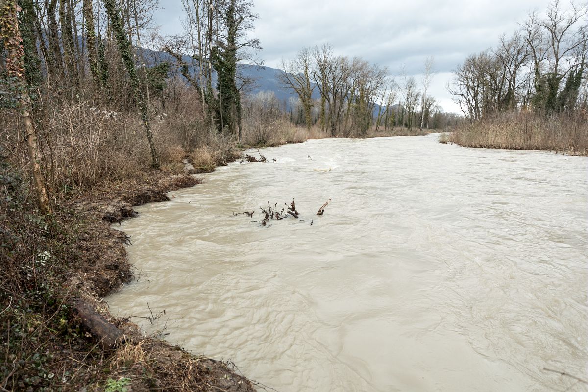 Image de l'actualité « Travaux de restauration de la Leysse (1er semestre 2024) »